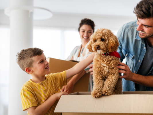 Hondjes verhuizen Hondjes verhuizen